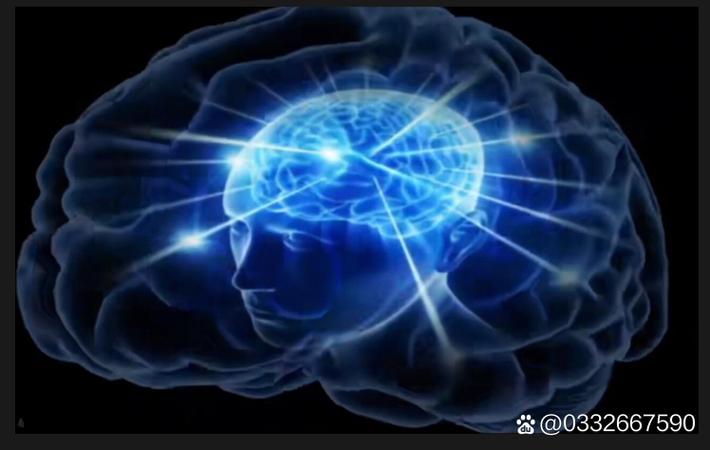 某顶流明星深夜被拍出入神秘会所,随行人员全程遮挡镜头