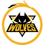 Team Vitality
